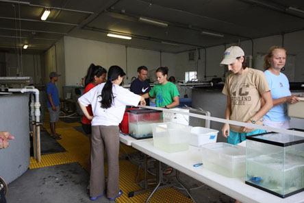 publicget3.jpg publicget3.jpg