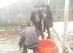 bio-floc1.jpg bio-floc1.jpg