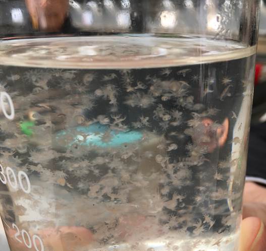 image004.jpg image004.jpg