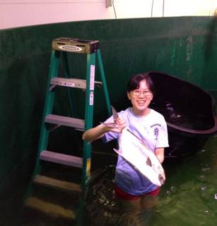 publicget1.jpg publicget1.jpg