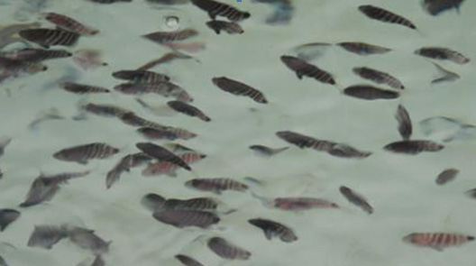 xpzxjs-12-2.jpg xpzxjs-12-2.jpg