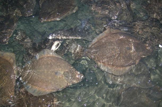 xpzxjs-72.jpg xpzxjs-72.jpg