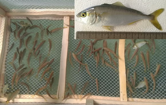 image001.png image001.png